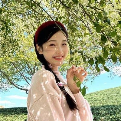 天使爱美丽国语海报